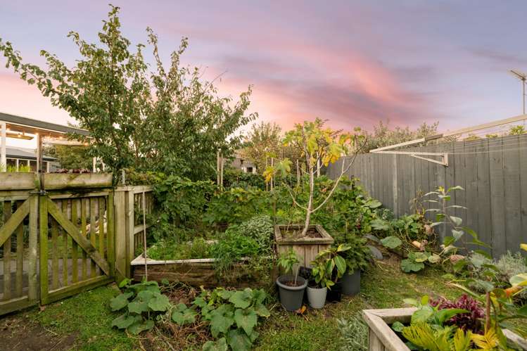 5 Harris Street Mount Maunganui_17