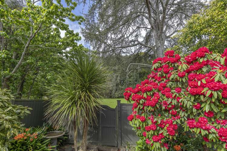 15 Atanga Avenue Mount Eden_20