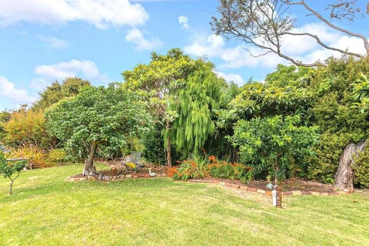 435B Tuateawa Road Coromandel_5