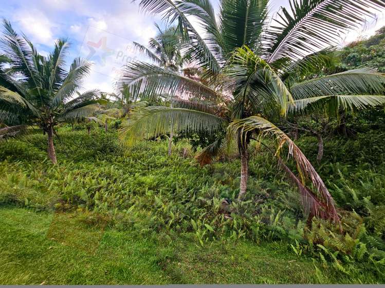 Address withheld Savusavu_9