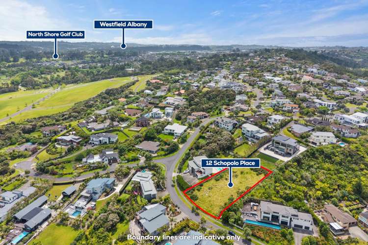 12 Schopolo Place Albany_6