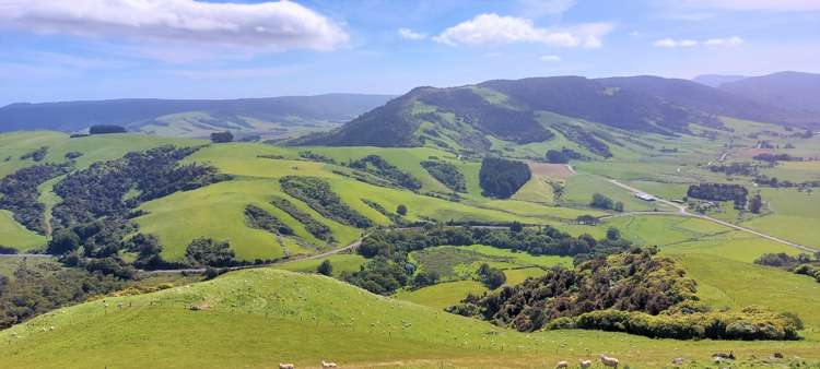 1777 Papatowai Highway Papatowai/Pounawea_14