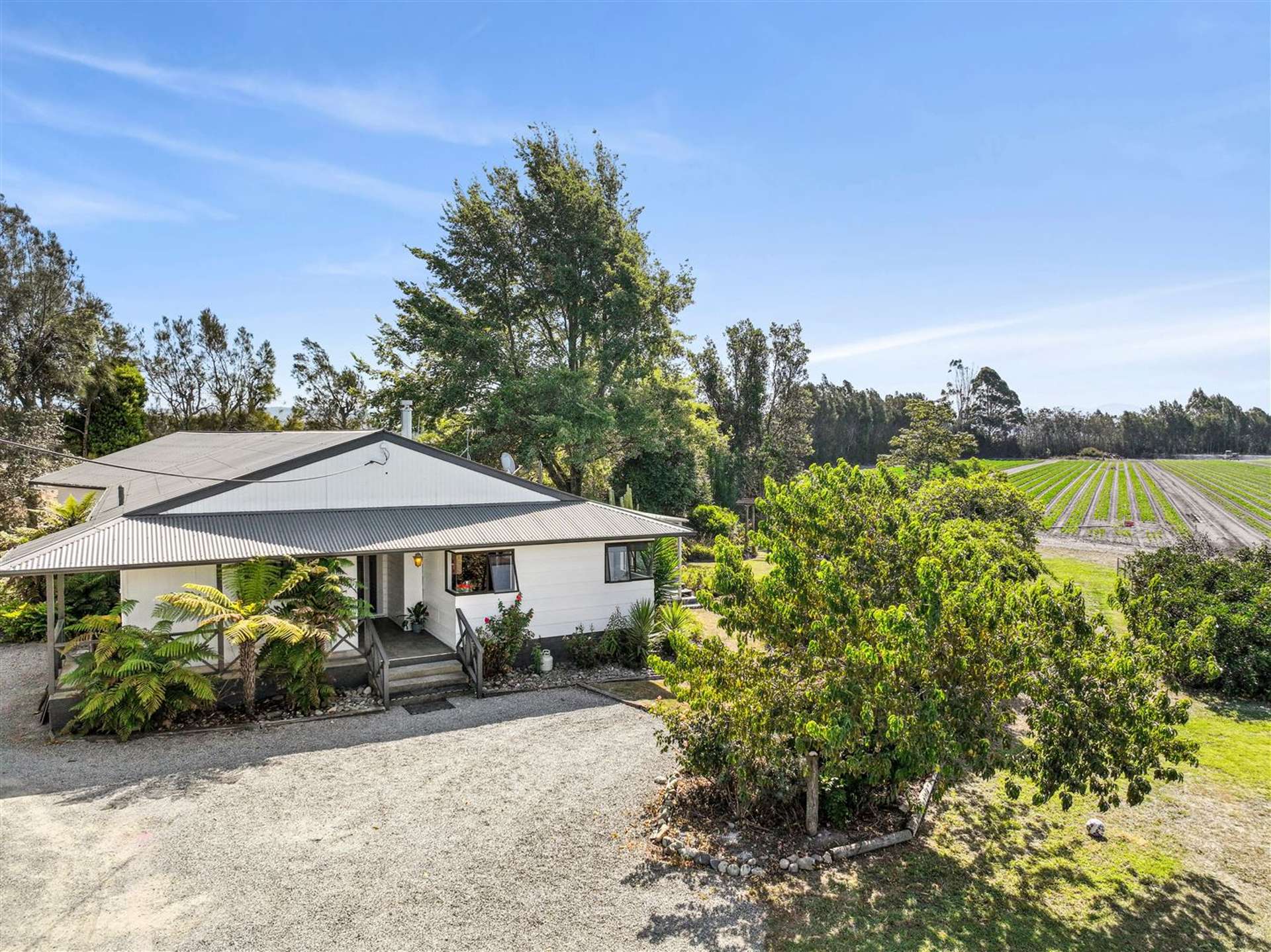 444 Paton Road Hope Tasman Houses for Sale One Roof