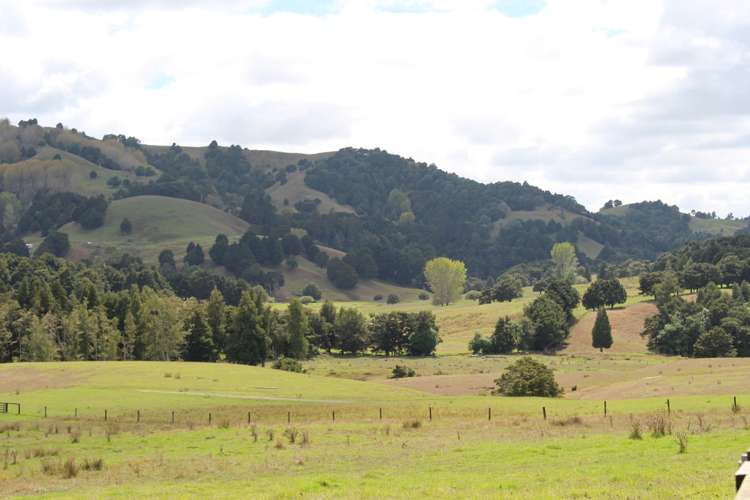 Aponga Road Ruatangata_10