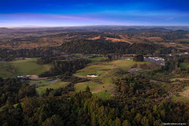 53 Tender Road Dairy Flat_23