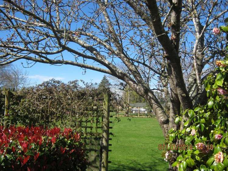 127 Main North Road Geraldine_7