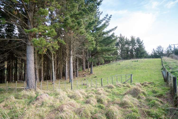 267 Ngahere Park Road Turitea_18