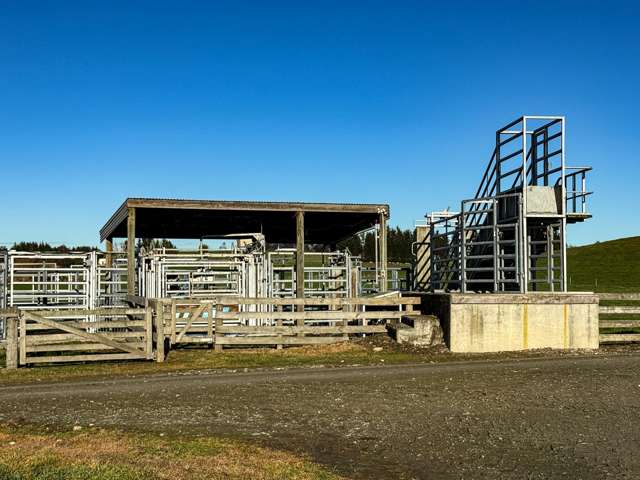 379 Waikaka Road Maitland_2