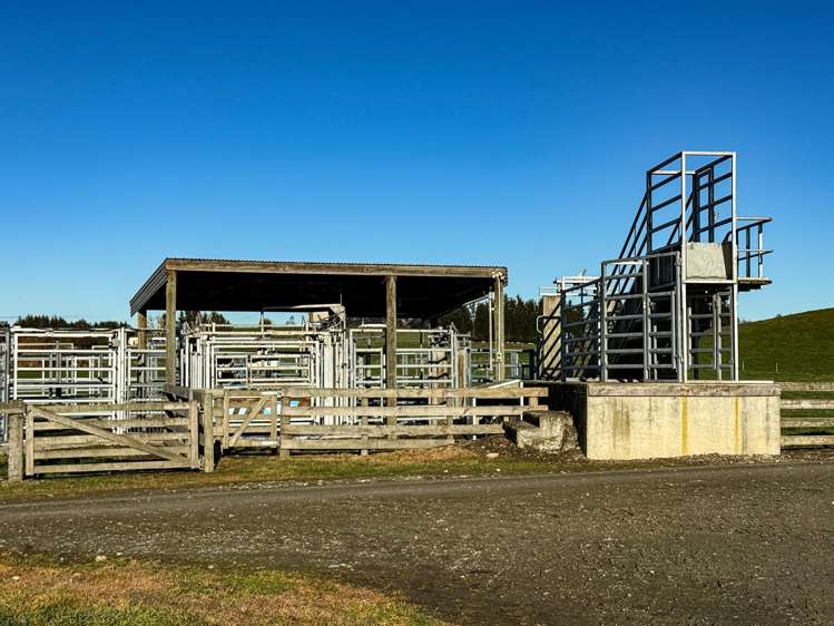 379 Waikaka Road Maitland_2