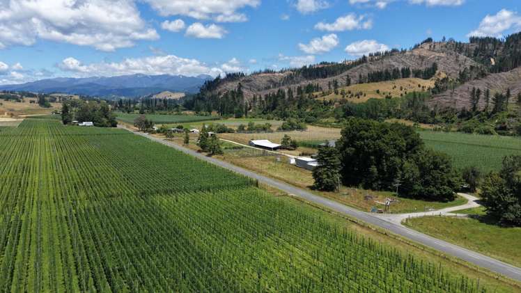 390 Tadmor Valley Road Tapawera_1