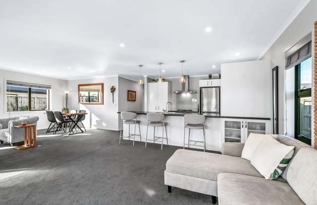 10 Ash Close Levin_3