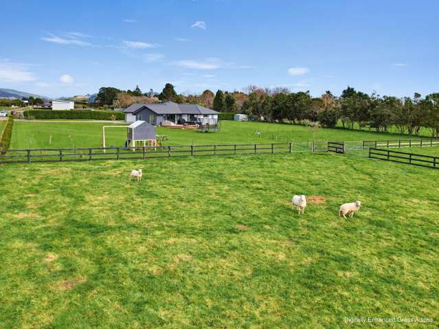 283A Kimberley Road Levin_3