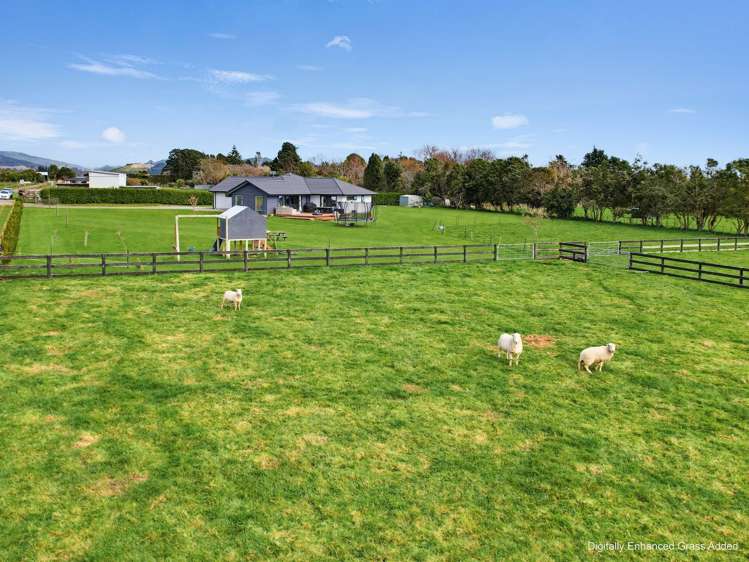 283A Kimberley Road Levin_2
