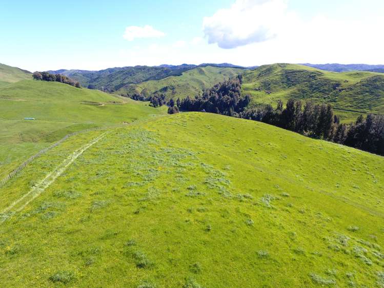 104 Tapuae Road Honikiwi_44