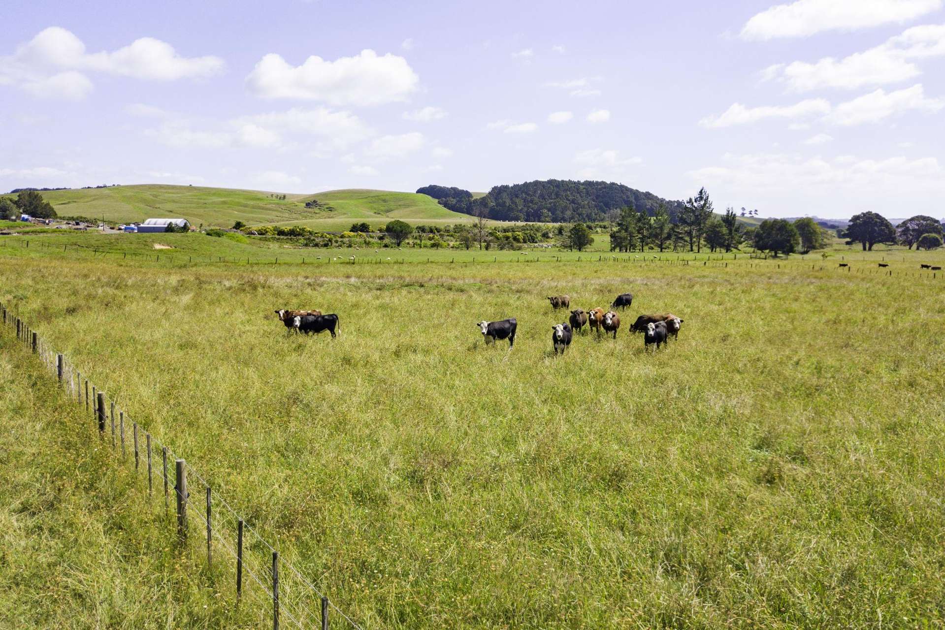 35 & 35A Cane Road Waimauku_0