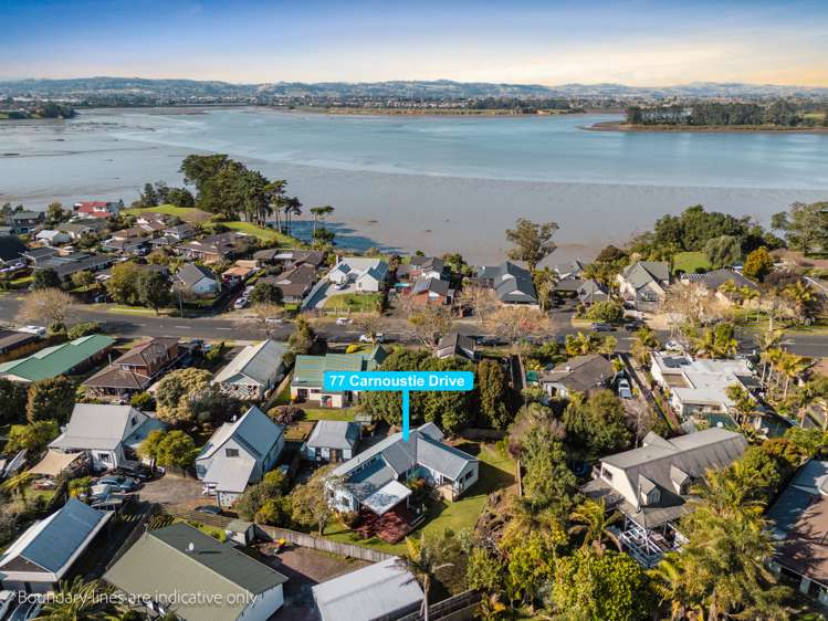 77 Carnoustie Drive Wattle Downs_15