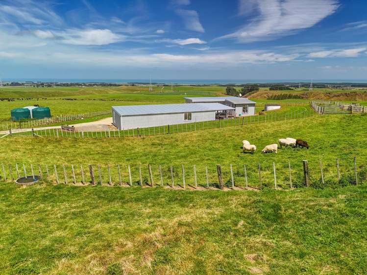 311 Rangitatau West Road Maxwell_17