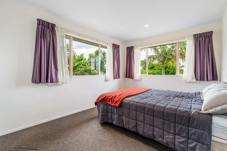 703A Hillsborough Road Mount Roskill_14