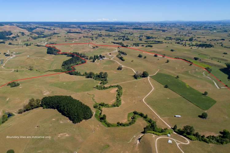 776 Kakahu Road Tapapa_1