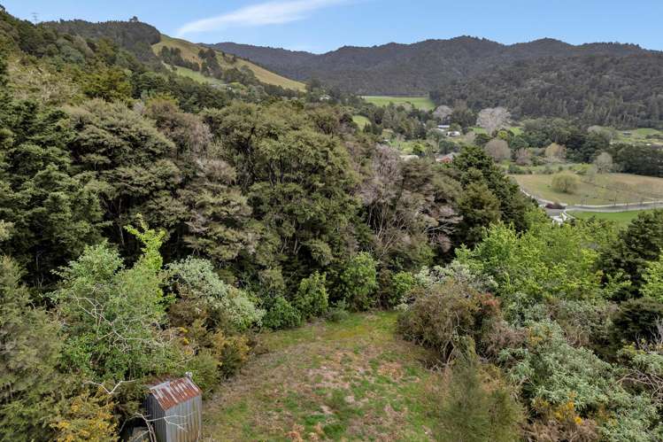 197 Whau Valley Road Whau Valley_29