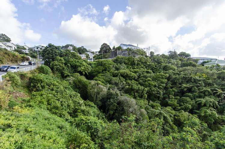 72 Farnham Street Mornington_8