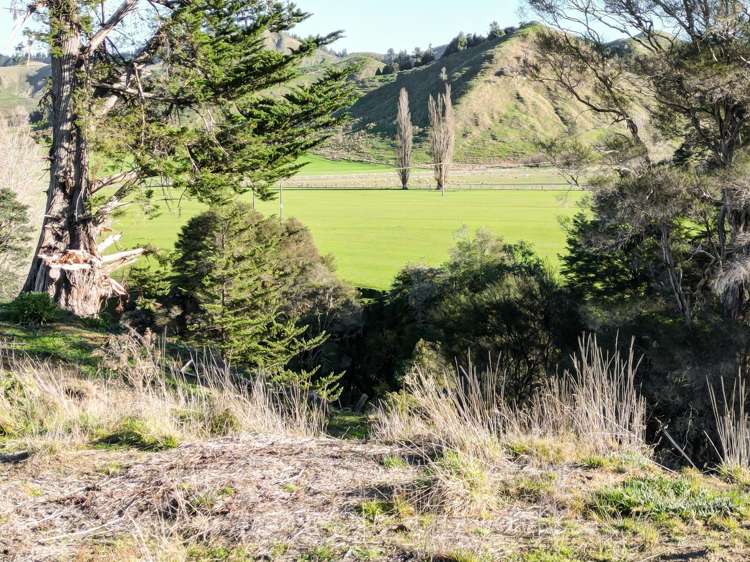 75 Otamoa Road Aberfeldy_13