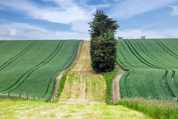 142 Deep Creek Road Waimate_10