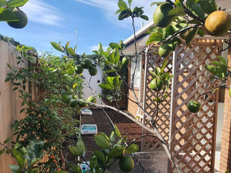 2/40 Bertrand Road Mount Wellington_12