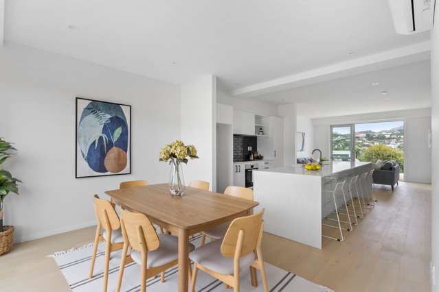 25b Liffey Street Island Bay_1