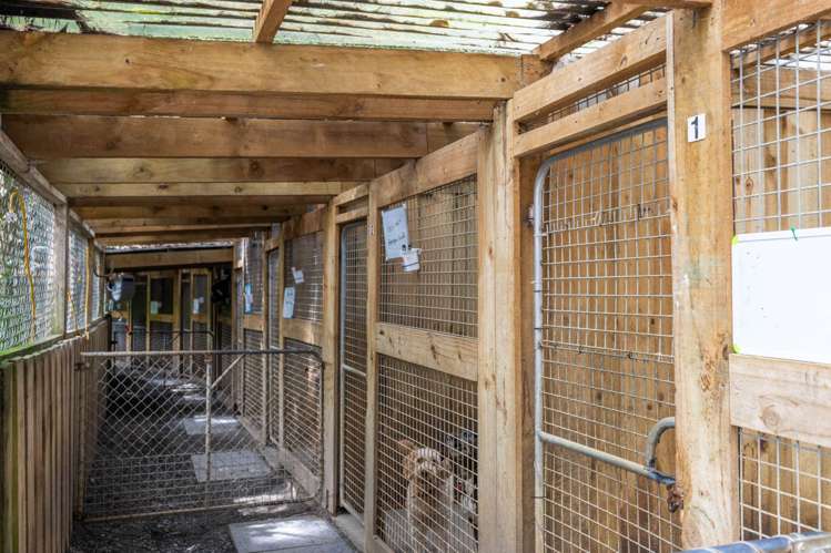 2 Cowan Bay Road Warkworth_39