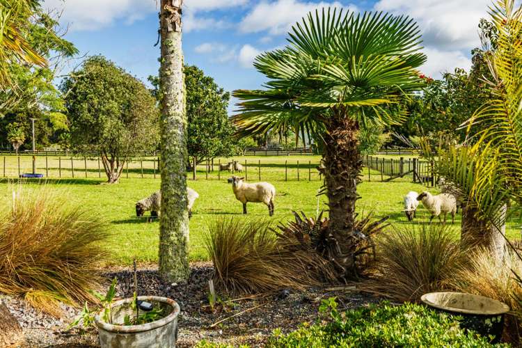 135 Puketotara Road Waipapa_25