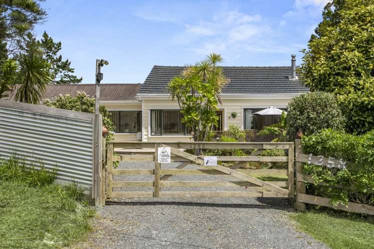 1258 East Coast Road Redvale_51