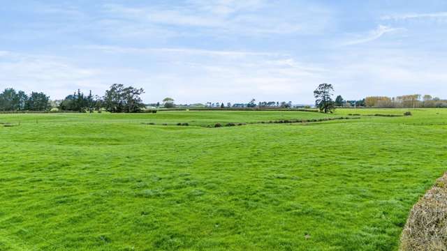 Bird Road Beauty – 86ha Dairy Farm