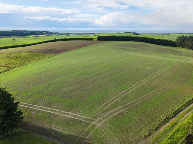 315 Woolshed Valley Road Otaio_3