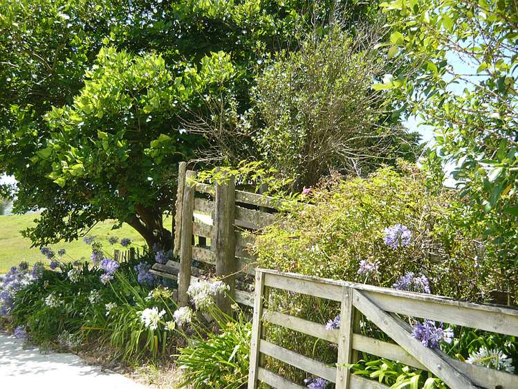 843 Whakapirau Road Whakapirau_33