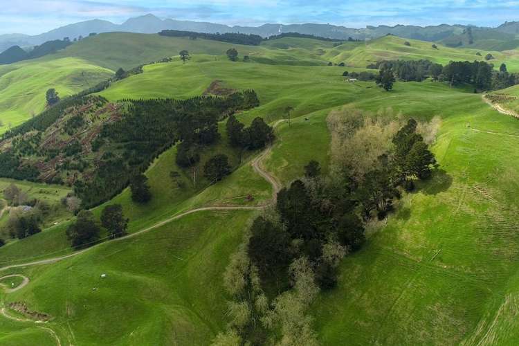 494B Dods Road Waikite Valley_27