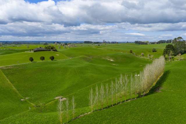 2085a-B Old Taupo Road Putaruru_3