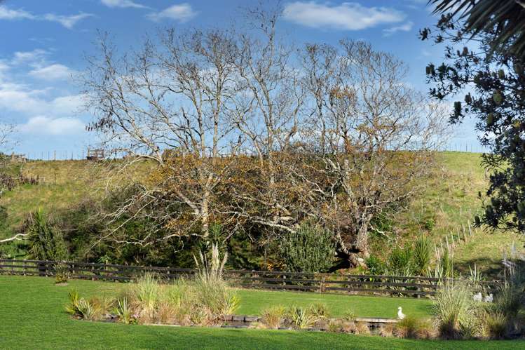 27 Awaroa Stream Drive Waiuku_19