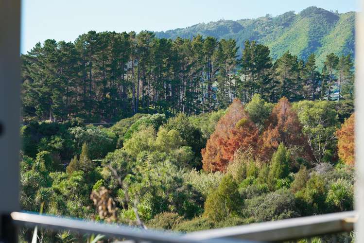 9 Te Heke Place Waikanae_28