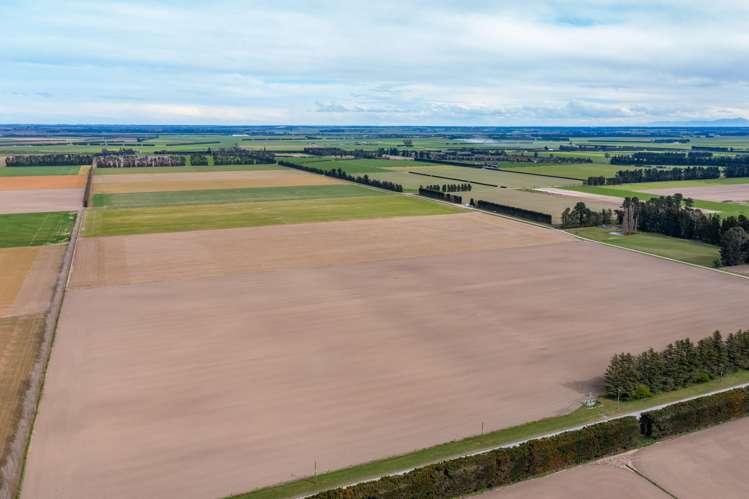 684 Telegraph Road Selwyn_8