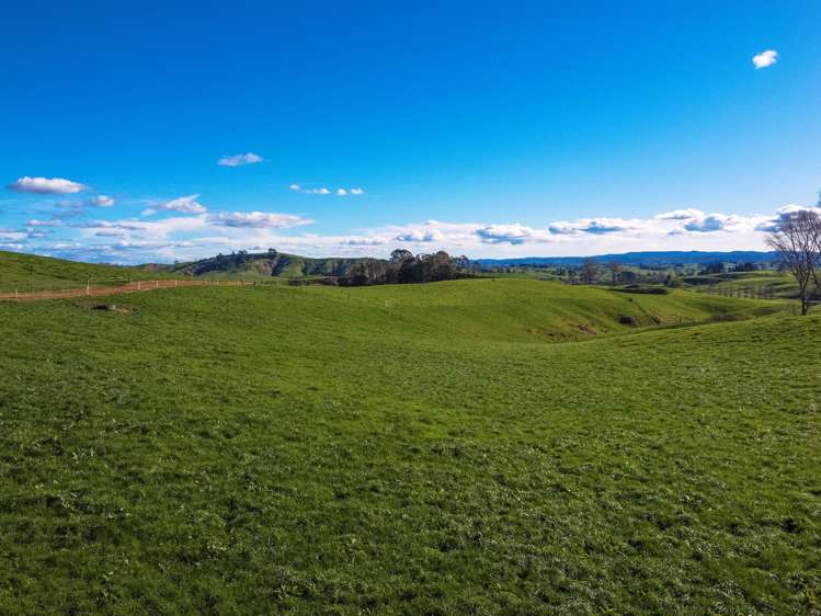 402 Awatane Road Otorohanga_20