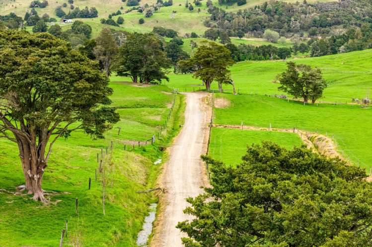 1070 Tangihua Road Maungakaramea_19