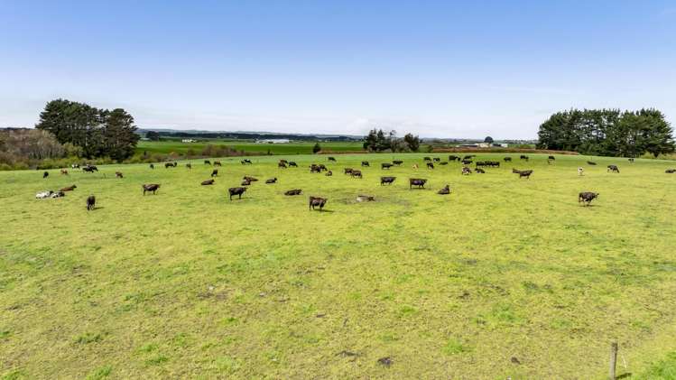 0n Ngarongo Road Normanby_70