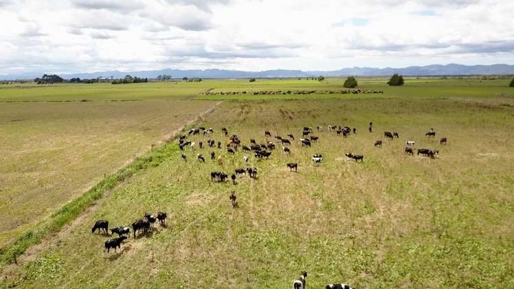 124 Tramline Road Patetonga_2