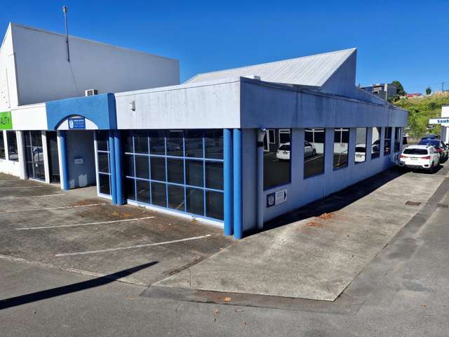 219 Collingwood Street Hamilton Central_3