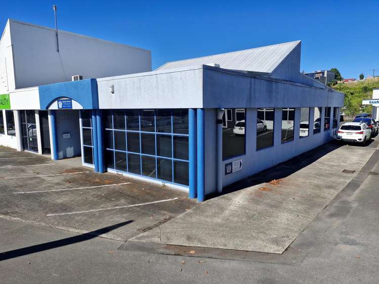 219 Collingwood Street Hamilton Central_3