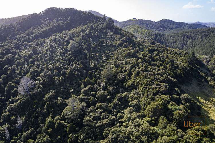 74 Waiparera Road Parua Bay_24