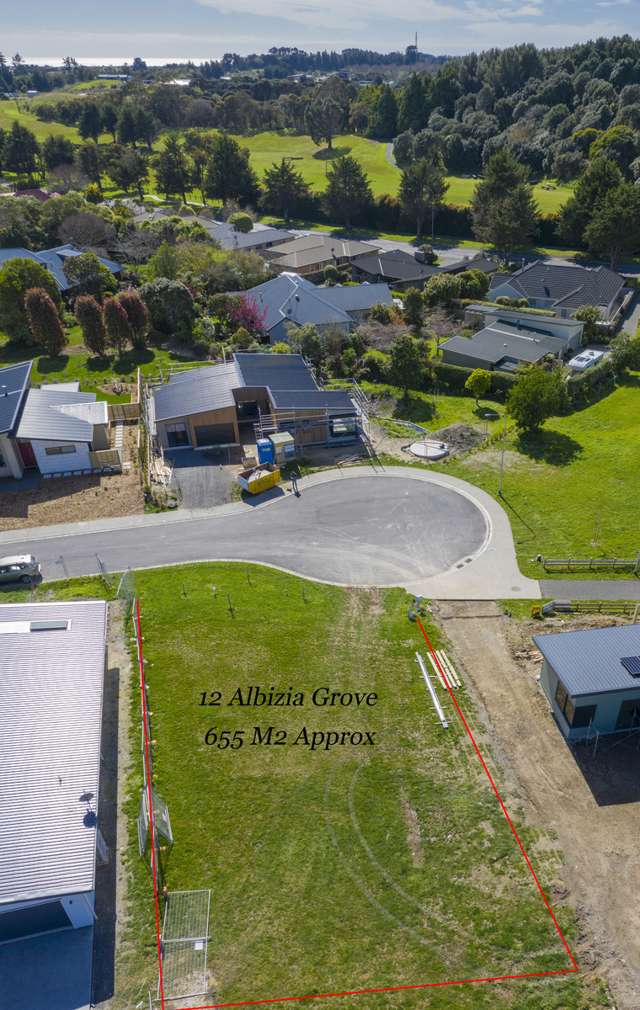 12 Albizia Grove Waikanae_4