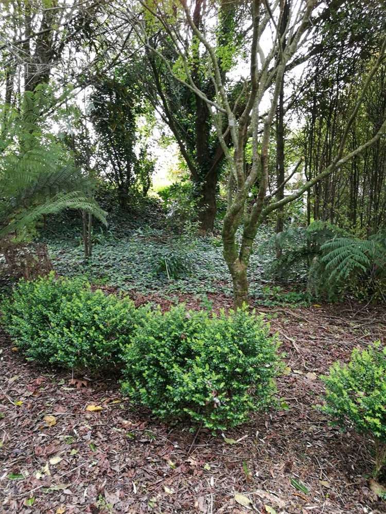 133 Bradford Street Waihi_13