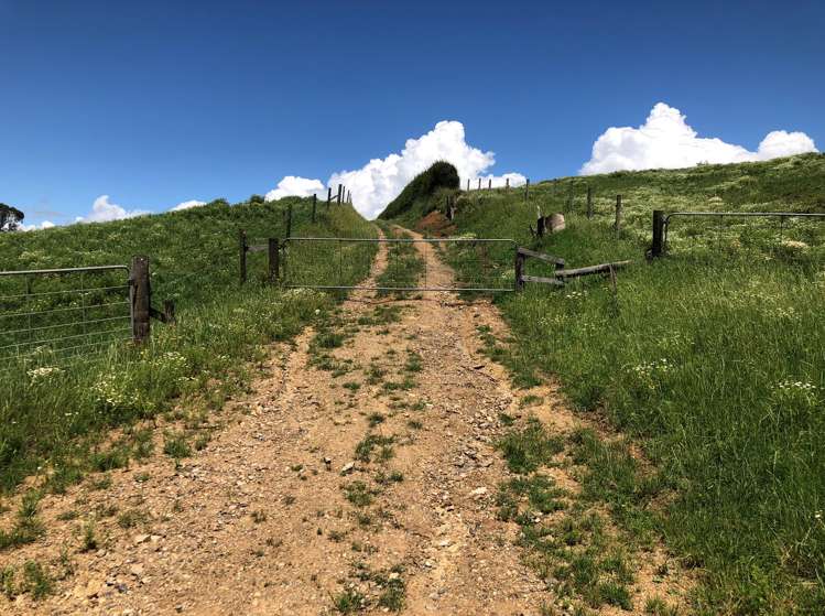 1564 State Highway 31 Kawhia Road Otorohanga_14